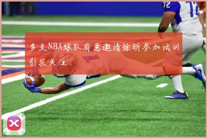 多支NBA球队有意邀请徐昕参加试训引发关注