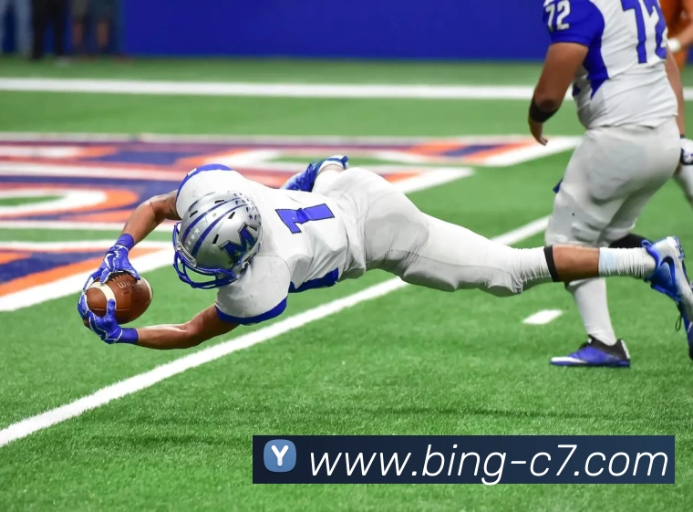 App Interface Preview